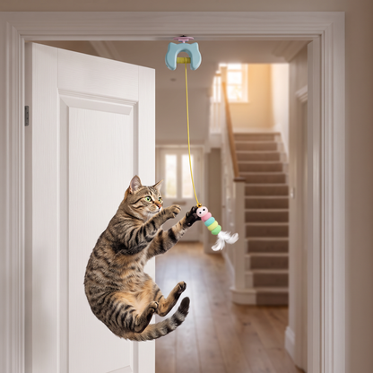 Rechargeable Hanging Door Cat Toy with Interactive Flying Feather