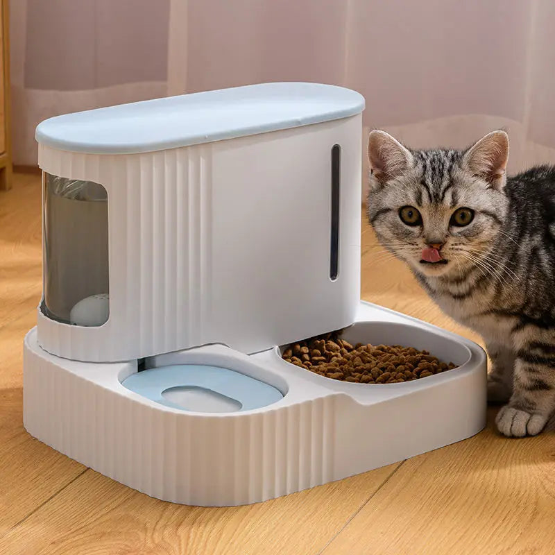 Food And Water Dispenser