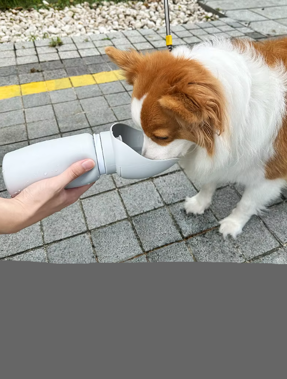 Travel Water Bottle With Fold - Out Bowl