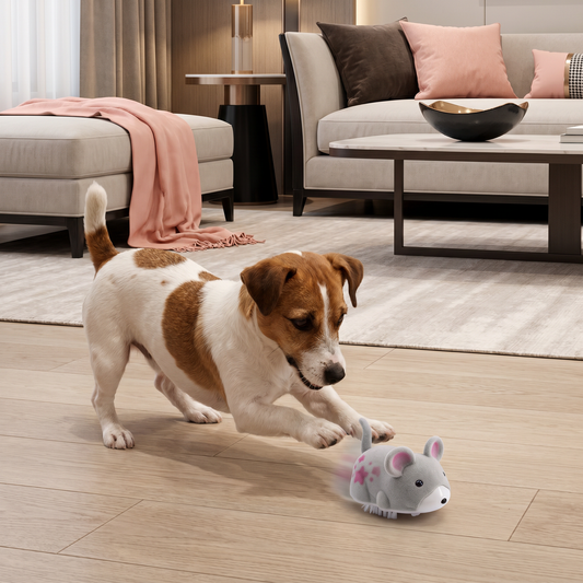 Active Hamster Indoor Dog Toy