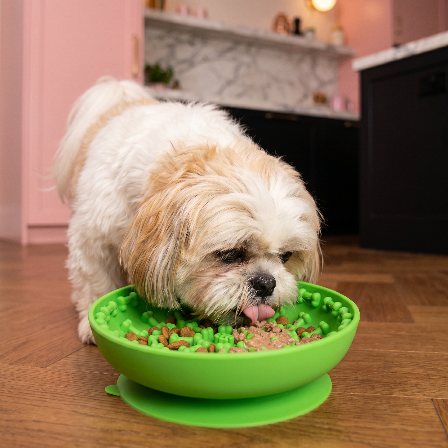 Slow Feeder Bowl for Dogs – Food-Grade Silicone Lick Mat with Suction Cups