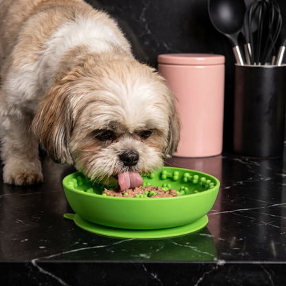 Slow Feeder Bowl for Dogs – Food-Grade Silicone Lick Mat with Suction Cups