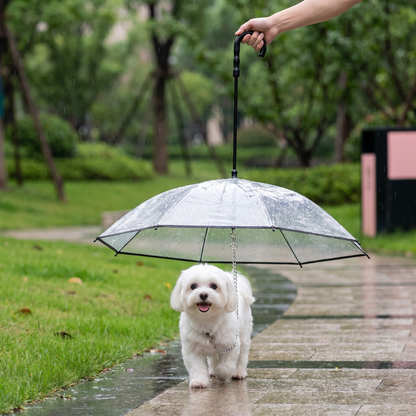 Transparent Dog Umbrella with Leash for Small Dogs