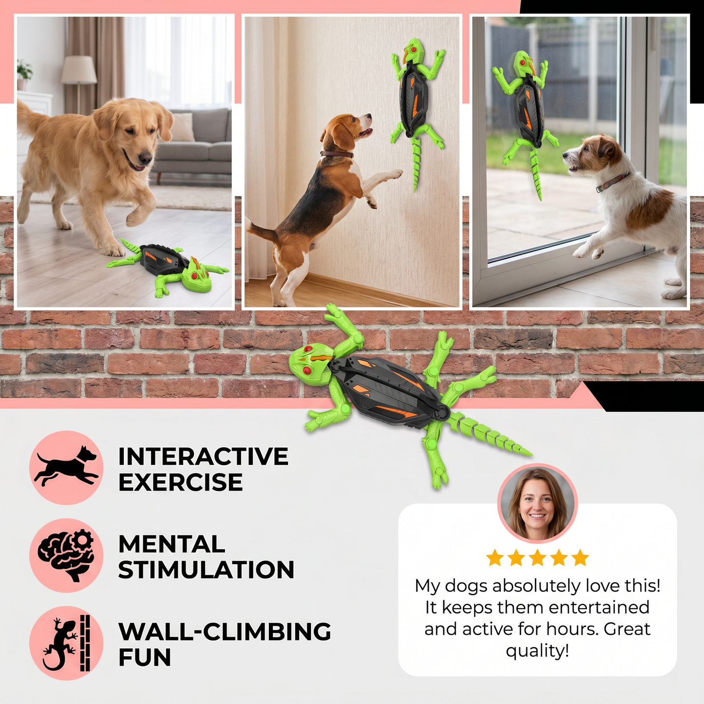 Remote Control Wall Climbing Lizard Toy for Dogs