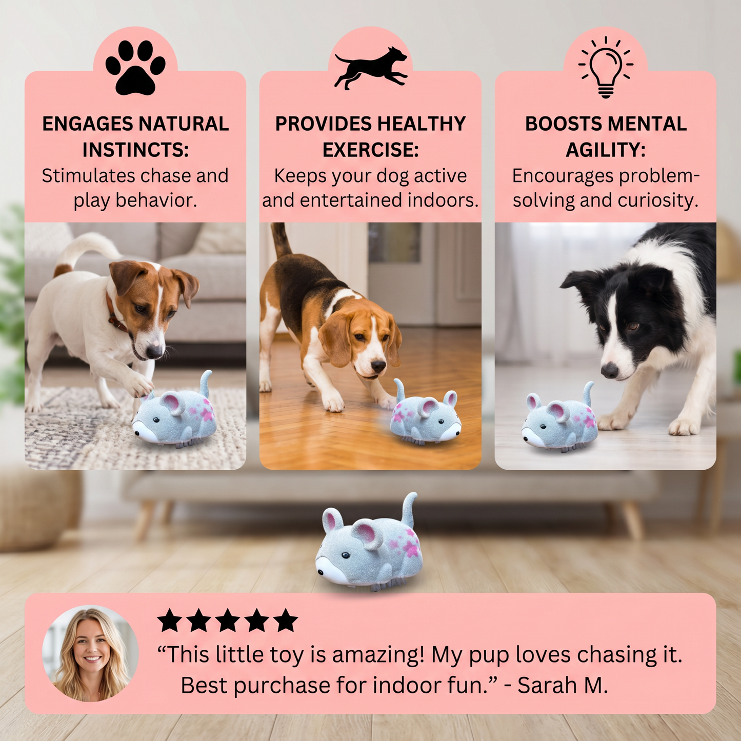 Active Hamster Indoor Dog Toy
