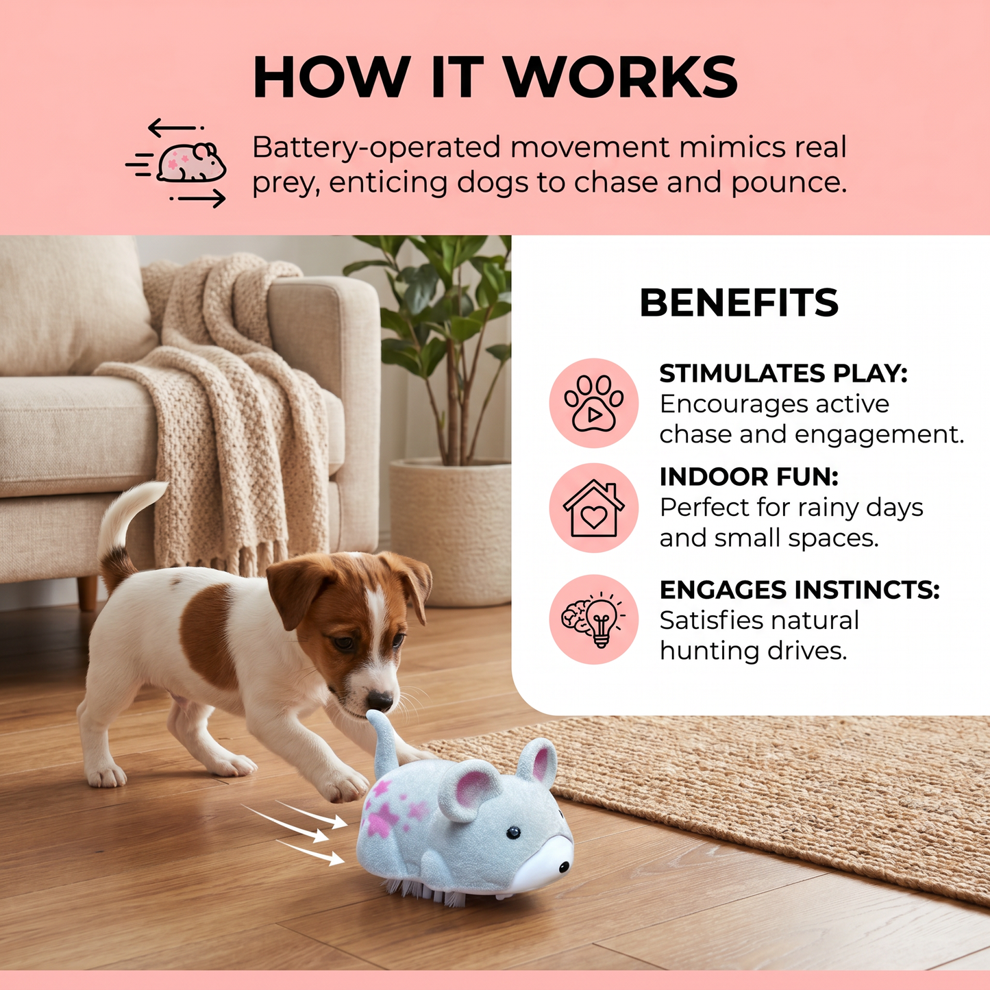 Active Hamster Indoor Dog Toy