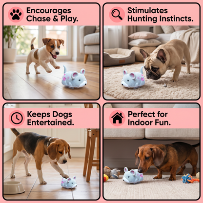 Active Hamster Indoor Dog Toy