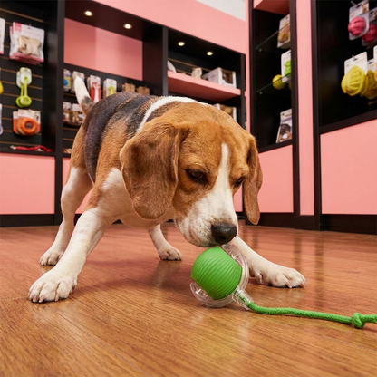 Interactive Play Ball with Tail for Dogs