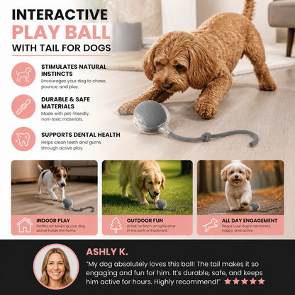 Interactive Play Ball with Tail for Dogs