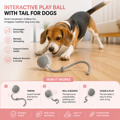 Interactive Play Ball with Tail for Dogs