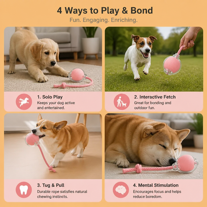 Interactive Play Ball with Tail for Dogs