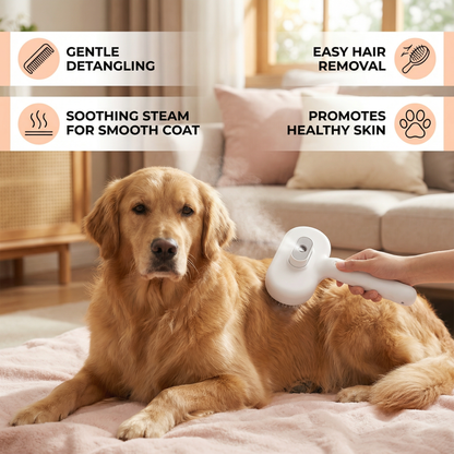 Premium pet brush with steam function