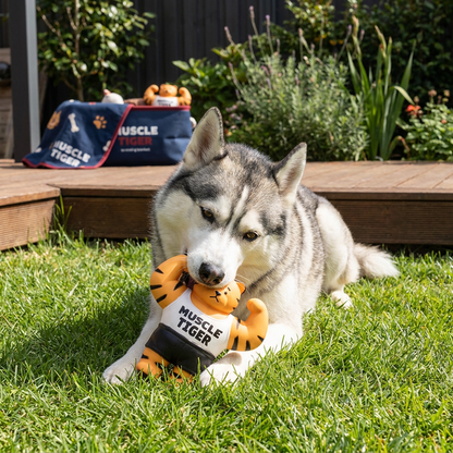 Durable Squeaky Muscle Buddy Dog Toy