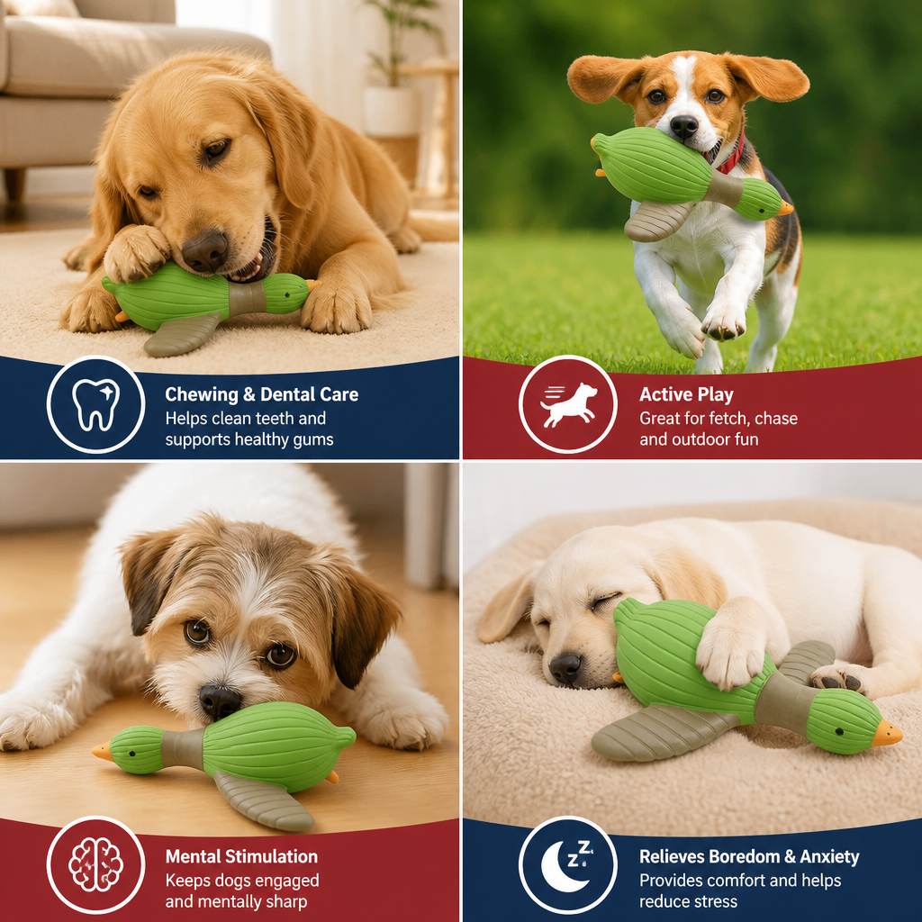 Interactive Chew & Squeak Animal Dog Toy