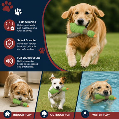 Interactive Chew & Squeak Animal Dog Toy