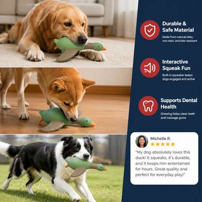 Interactive Chew & Squeak Animal Dog Toy