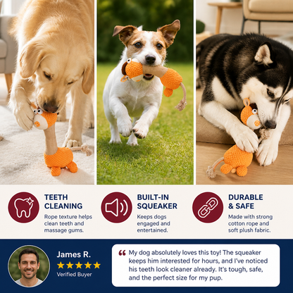 Durable Cotton Rope Teeth Cleaning Plush Dog Toy with Squeaker