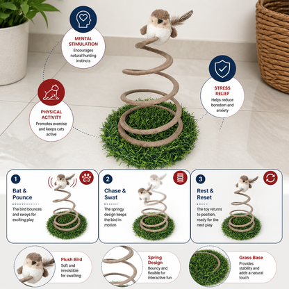 Interactive Spring Bird Cat Toy with Grass Base