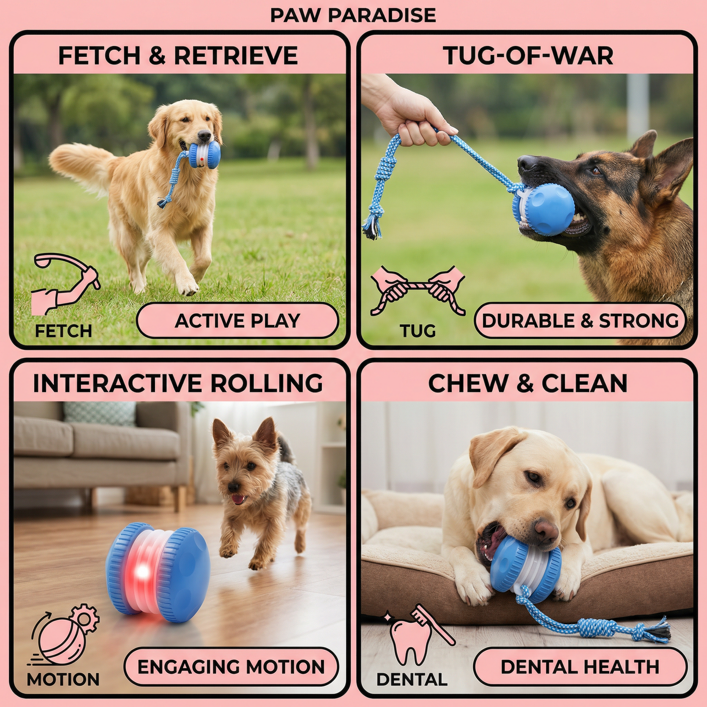 Interactive & Durable Dog Ball – Motion Toy with Tug Rope in Dog Colours