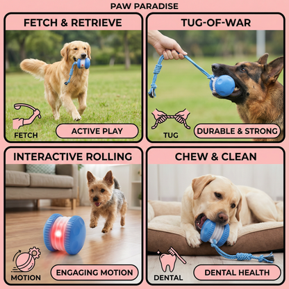 Interactive & Durable Dog Ball – Motion Toy with Tug Rope in Dog Colours
