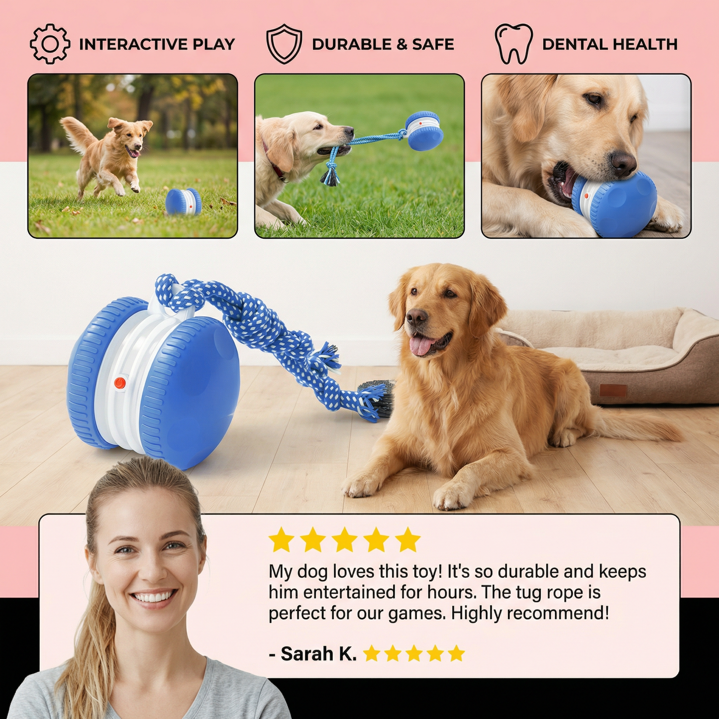 Interactive & Durable Dog Ball – Motion Toy with Tug Rope in Dog Colours
