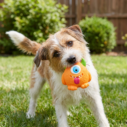 Durable Eco-Friendly Monster Teeth Cleaning Latex Squeaky Dog Toy