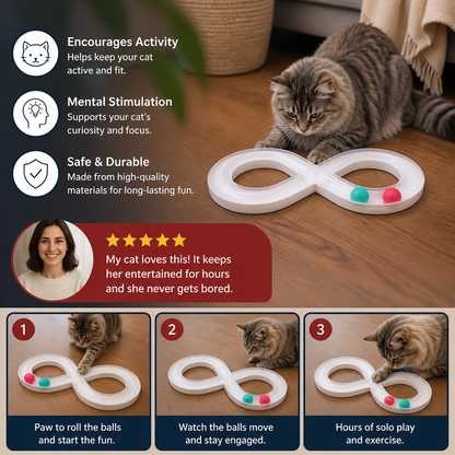 Interactive Cat Track Ball Toy