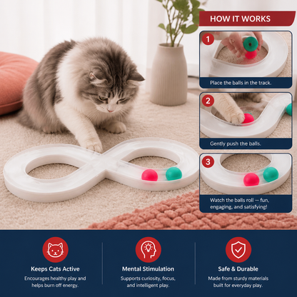Interactive Cat Track Ball Toy