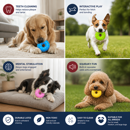 Colorful Squeaky Donut Dog Toy