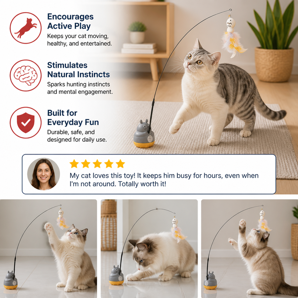 360° Interactive Self-Play Cat Teaser