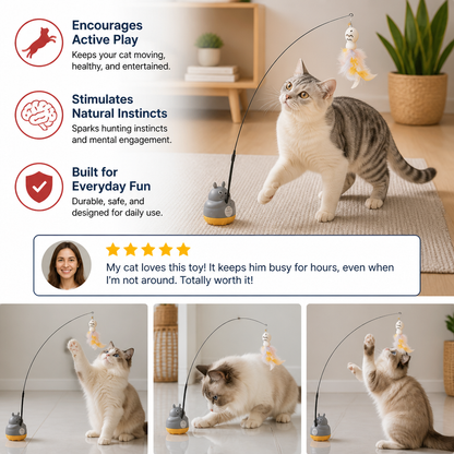 360° Interactive Self-Play Cat Teaser