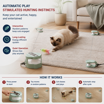 Automatic Cat Chasing Track Toy
