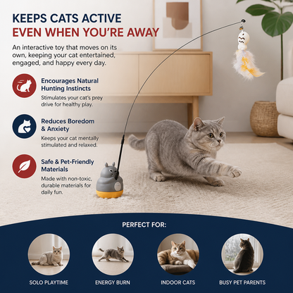 360° Interactive Self-Play Cat Teaser
