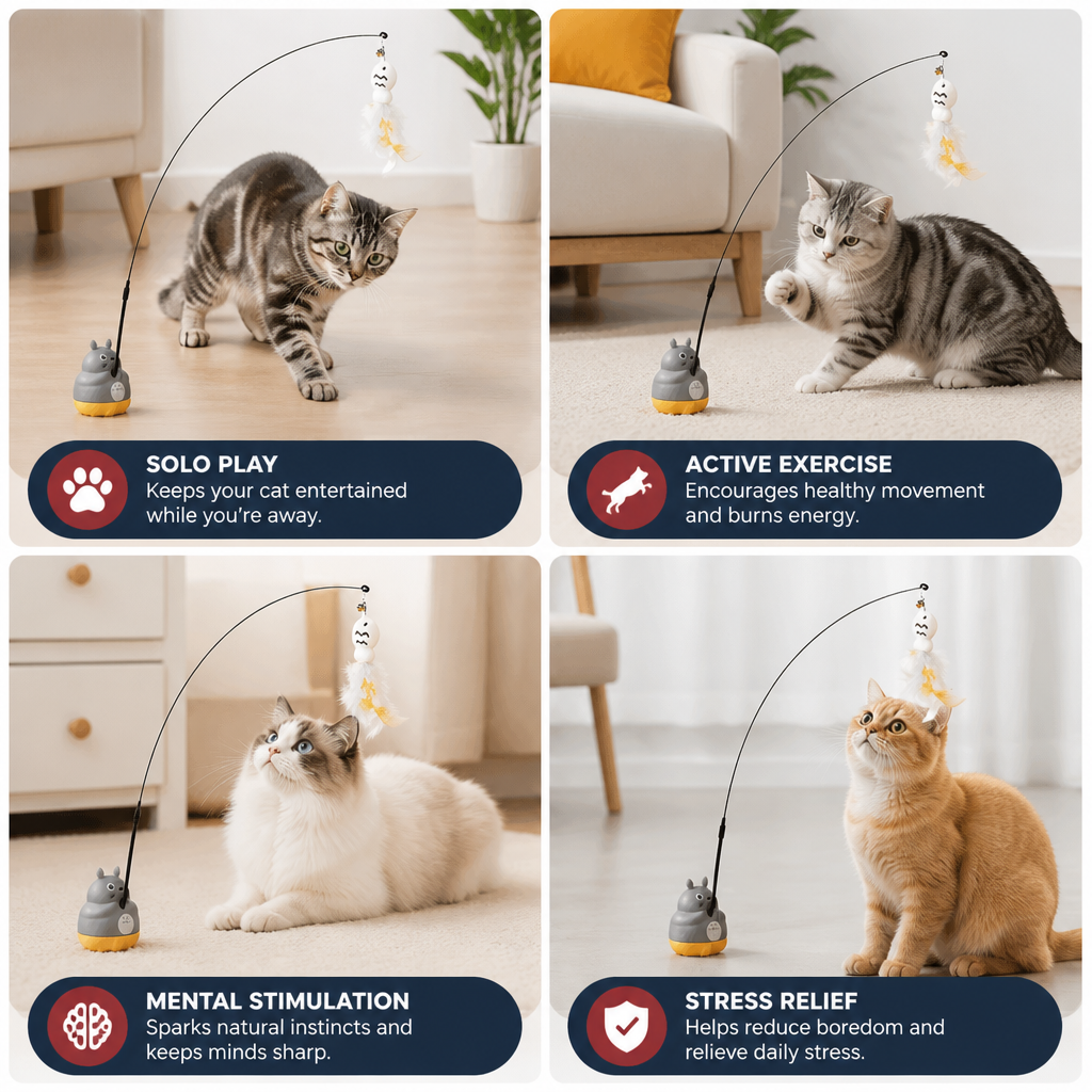 360° Interactive Self-Play Cat Teaser