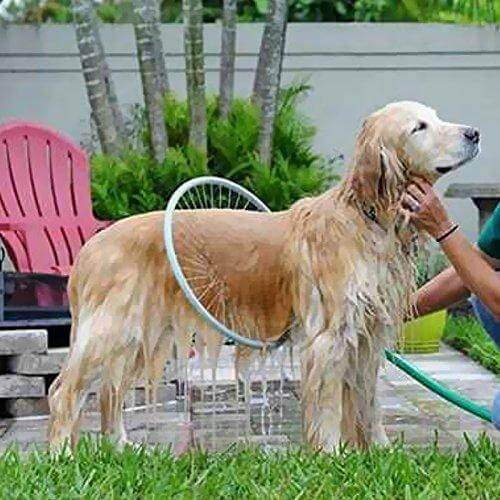 360° Shower Tool for Pets