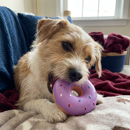 Colorful Squeaky Donut Dog Toy